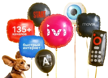 Услуги Дом.ру в деревня Олха